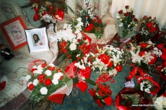 IMAGE0017